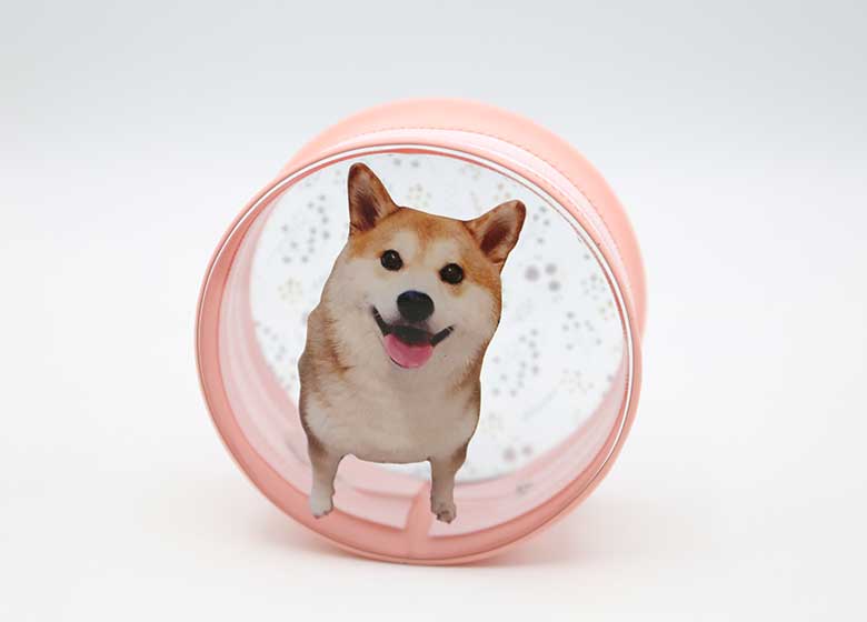 使用シーン